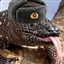 GunkTheUnk's avatar