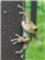 Backp0nd's avatar