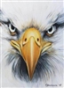 flashfireg07's avatar