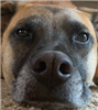 Curiousbox's avatar