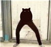 BrokenIntegra's avatar