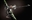 TheRealRobotFrog's avatar