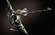 TheRealRobotFrog's avatar