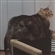 TheKingOfCats27's avatar