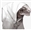 zipl's avatar