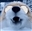 Ante_Brazen's avatar