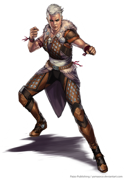 Way Of The Brawler Image