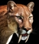 Riotto's avatar