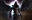 B0D13's avatar