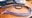 VectorVictor_72's avatar