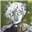 Sunae's avatar