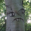 Trummler's avatar