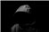 Test666's avatar