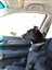 seespotdance's avatar