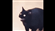 _Box_Cat_'s avatar