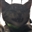GrungSnail's avatar