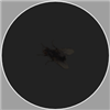 Django_Dexuas's avatar