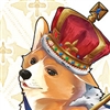 Seffnerca's avatar