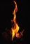 Simmon's avatar