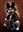 dirkpittx's avatar