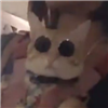 steelydan1's avatar