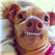 notevenphteven's avatar