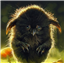 ReeTheKenku's avatar