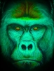 Porphy's avatar