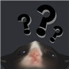 Raiden23771's avatar