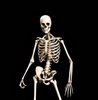 bupdator's avatar