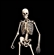 bupdator's avatar
