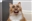 SyntheticXNYNEX's avatar