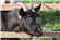DarkLord7514's avatar