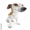 Snailseyy's avatar