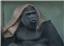Masterofthebait69's avatar
