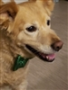 FeistyGnome's avatar