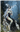 The_Midnight_Queen's avatar