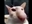 Will0Wizp's avatar