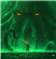 WendigoN7's avatar