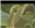 ButterCup0493's avatar