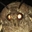 Mothycow's avatar