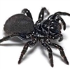 SpiderJosh's avatar
