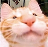 Azrnez's avatar