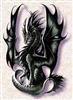 DrakeStardragon's avatar
