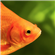 UsErnAmEz41's avatar