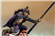 Illsea's avatar