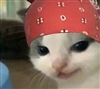 RavenTiger0's avatar