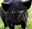 DMLynchy's avatar
