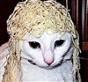barrybloodblade's avatar