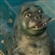 iFiish's avatar